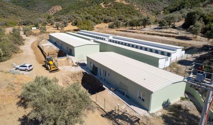 İzmir'de patili dostlara büyük hizmet: Yeni bir yaşam merkezi olacak!