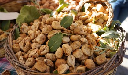 Tire’nin tarihi ve lezzeti festivalle taçlandı