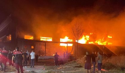 Gaziemir'de mobilya fabrikasında yangın: Müdahale sürüyor!
