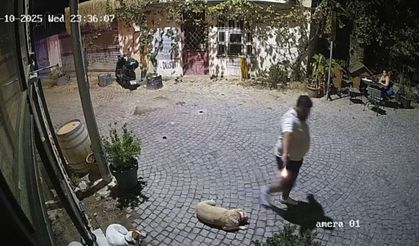 Urla'da inanılmaz olay: Korkunç anlar böyle görüntülendi