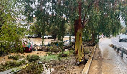 Foça’yı sağanak vurdu: Dere taştı, ev ve iş yerlerini su bastı!