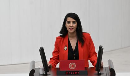 EMEP’li Karaca meclise taşıdı: Çanakkale’de halkın orman kampı satışa çıkarıldı!