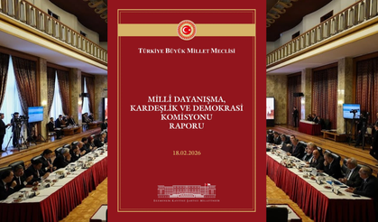 Çözüm sürecine ilişkin hazırlanan rapor TBMM resmi sitesinde yayımlandı