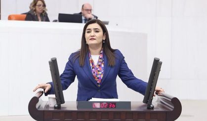 CHP'li Kılıç: Kanun değişikliği Milli Parklar için zarar tarifesi getirecek!