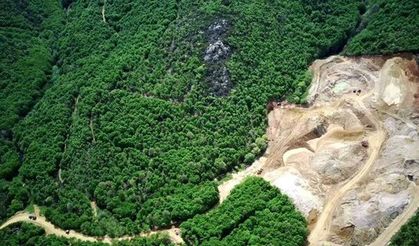 DEM Partili Akın'dan Bakan Bayraktar'a maden ruhsatlarıyla ilgili soru önergesi: 30 gün inceleme için yetersiz!