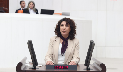 Doğum izninin uzatılması teklifi Meclis'te: DEM Parti'li Türkoğlu ücretsiz kreşe dikkat çekti