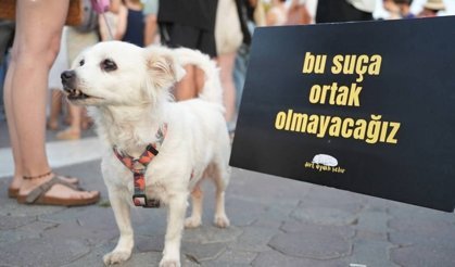 Hayvan hakları savunucuları kazandı: 'Ötanazi' ve toplatma maddeleri iptal!
