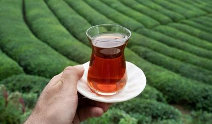 2026 yılı yaş çay alım fiyatı 35 TL olarak belirlendi