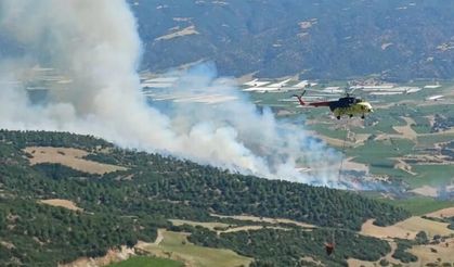 Manisa'da çıkan orman yangını kontrol altına alındı