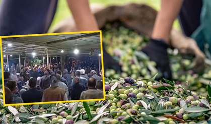 Manisalı zeytin üreticisinden taban fiyat protestosu: Elekler durduruldu
