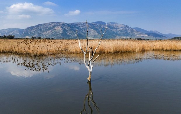 İzmir’de kuraklık vurdu, yağmur hayat verdi: Pegasus Gölü yeniden su tutuyor