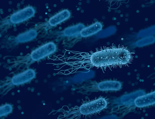 Bilim insanlarından et yiyen bakteri uyarısı