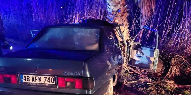 Otomobil ağaca saplandı: 1 ölü