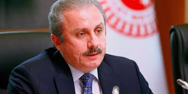 Şentop'tan Prens Harry’ye: Avrupalı beyaz çocuk, sen kimsin?