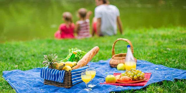 İzmir'de nerede piknik yapılır? İşte İzmir'de piknik yapılacak 16 yer!