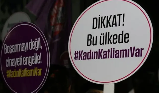 Diyarbakır'da kadın cinayeti: Eşini, çocuğunun yanında öldürdü