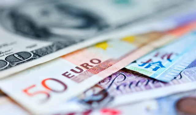 Döviz kurunda hareketlilik: Euro rekor kırdı, dolar zirveye yakın seyrediyor