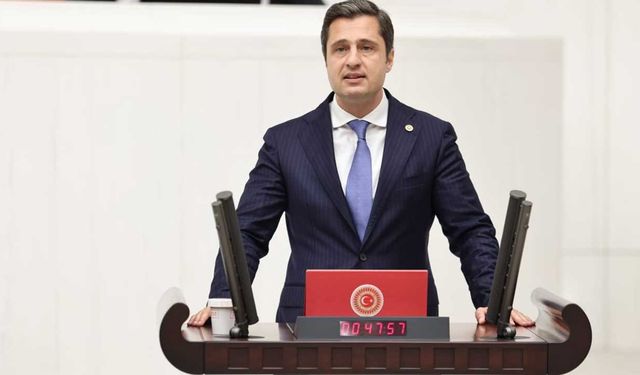 CHP'li Yücel'den Urla'daki doğa katliamına tepki!