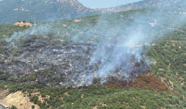 İzmir'de araçta başlayan yangın ormana sıçradı