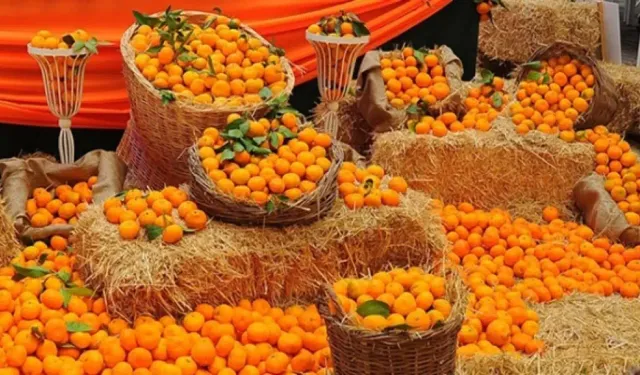 Seferihisar'da turuncu şenlik zamanı: Tarih açıklandı