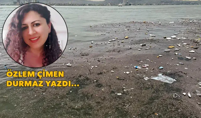 İzmir'de kirlilik sorunu: Peki neden böyle?