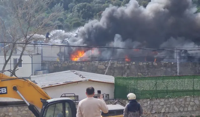 Muğla'da korkutan yangın: Kontrol altına alındı