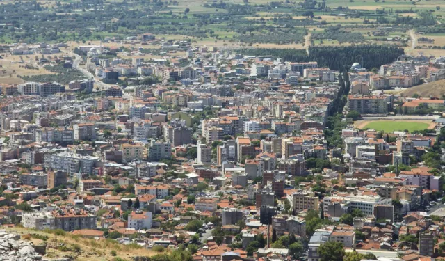 İzmir Bergama'da icradan satılık tarla