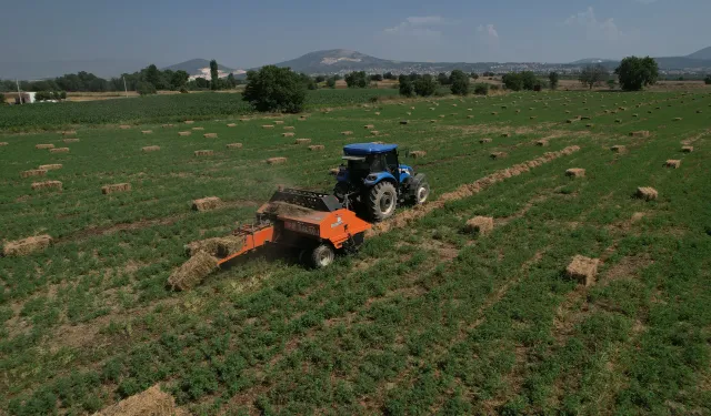Muğla Büyükşehir'den ilk hasat: Kaba yem üreticilere dağıtıldı