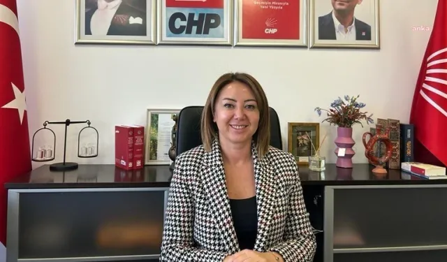 CHP'li Gül Çiftçi: Rıza Akpolat Silivri'ye nakledilecek!