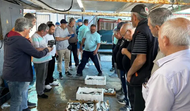 Av sezonu sona erdi: İzmir'de balıklar mezatlarda alıcıyı bekliyor