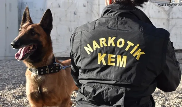 Karabağlar’da zehir operasyonunda iki kardeş yakalandı
