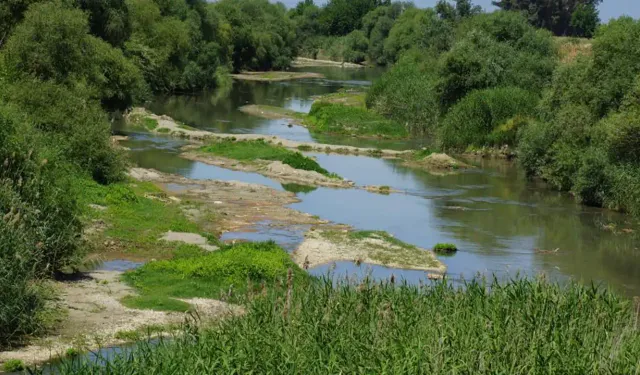 Ege'nin en büyük nehriydi: Suya hasret kaldı