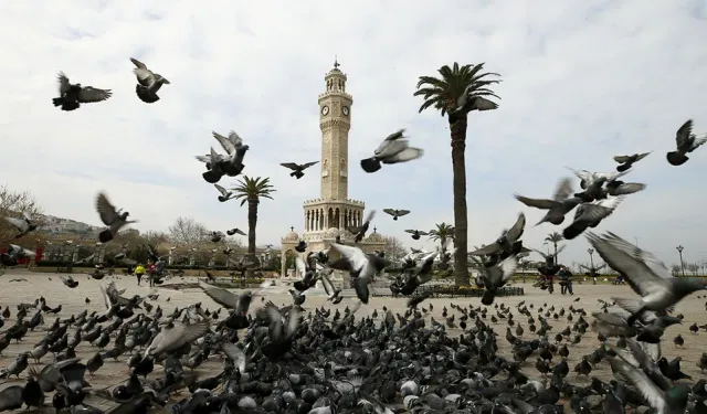 Huzur veren İzmir efsanesi: Güvercinlerin Koruyucu Ruhları