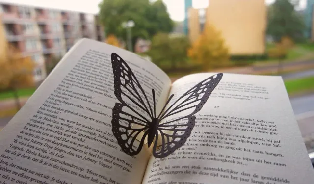 Kitap sayfamızda bu hafta: Belki de yaşadığımız kelebeğin ömrüdür