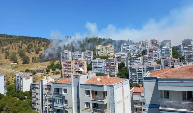 Aliağa'da orman yangını: Ekiplerin müdahalesi sürüyor