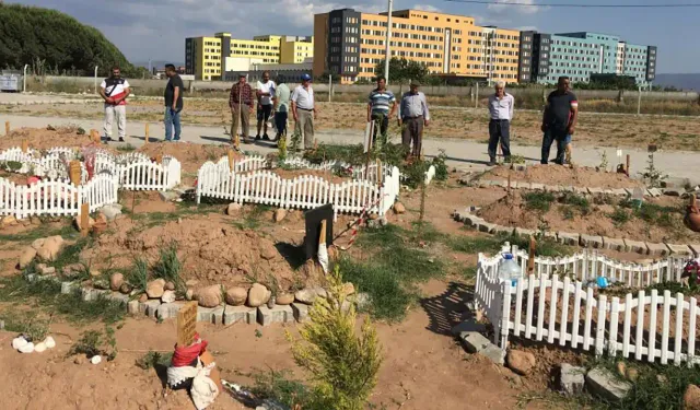 Aydın'da tepki çeken mezarlık: Hastane ve okulun dibinde