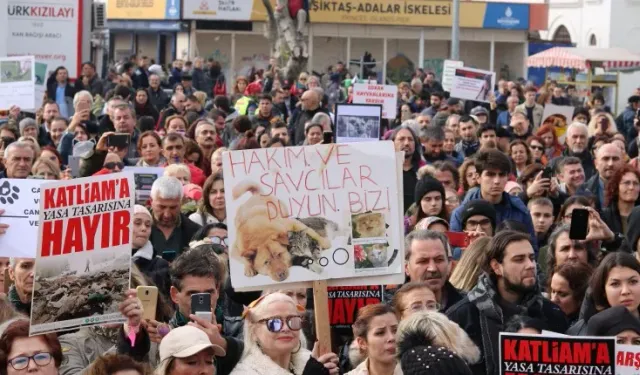 Bakımevi değil ölüm kampı