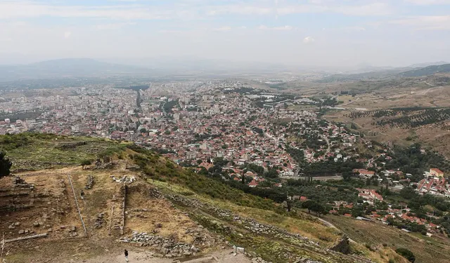 Bergama'da icradan satılık ağaçlık zeytinlik