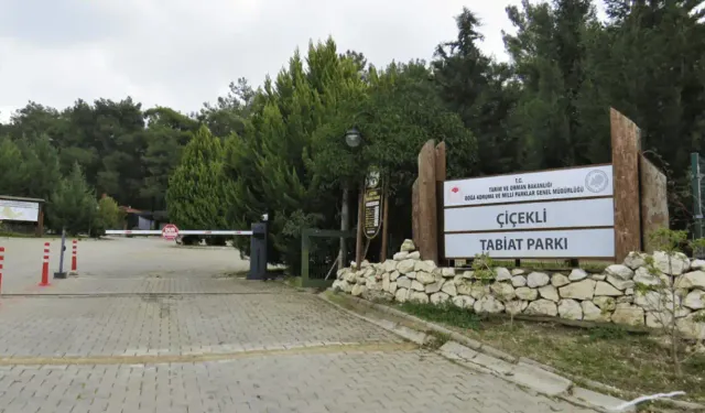 İzmir'de piknik alanı: Çiçekli Tabiat Parkı giriş ücreti 2024