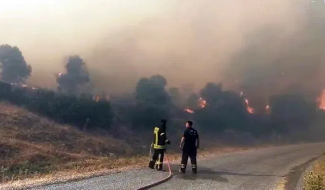 Aydın’ın Çine ilçesinde orman yangını kontrol altına alındı