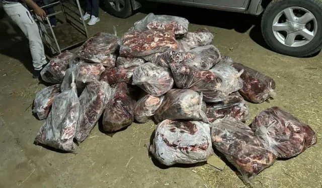 Jandarmanın baskın yaptığı çiftlikte 1 ton domuz eti bulundu