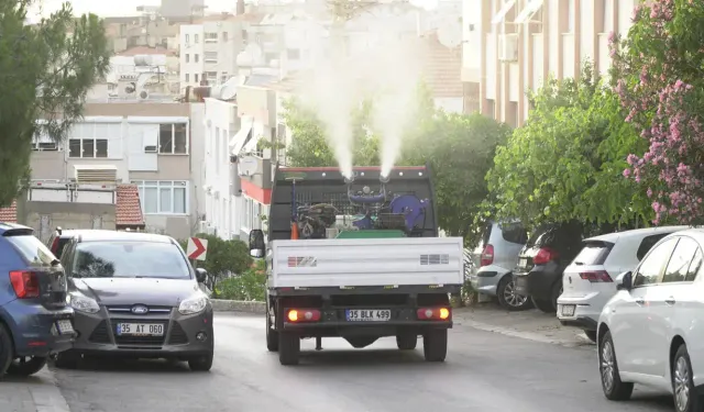 İzmirliler isyan ediyordu: Bir ilçe mahalle mahalle ilaçlandı