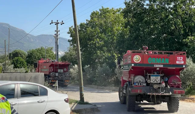 Tire'de makilik ve ormanlık alanda yangın çıktı