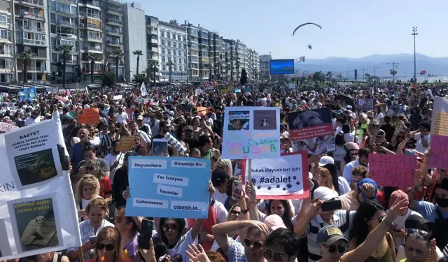 İzmir'de patili dostlar için miting: Türkiye elini taşın altına koymuyor