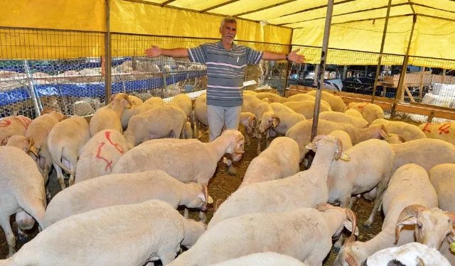 İzmir'de ihtiyaç sahiplerinin yüzü güldü: Bayramda etler sofraya ulaştırılacak