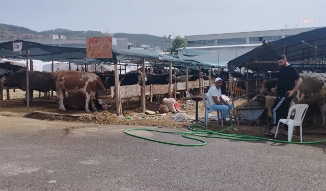 İzmir'de kurban satıcıları umduğunu bulamadı: Zarar edeceğiz