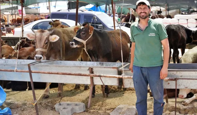 İzmir'de Kurban Bayramı tedbirleri: Kaçak kesime ceza var