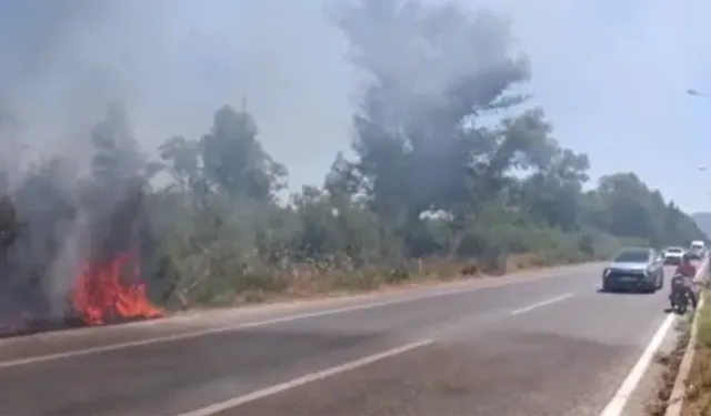 Kabus bitmiyor | Selçuk'ta bir yangın daha: İlk müdahaleyi vatandaşlar yaptı