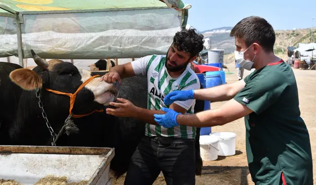 Sıkı denetim yapılıyor: Karabağlar'da Kurban Bayramı hazırlığı