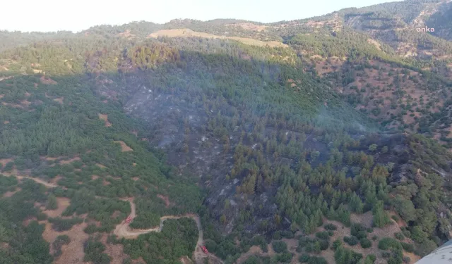 Aydın Kuyucak'ta orman yangını: 26 hektar alan kül oldu